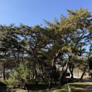 진도산새소리민박 | 거창 로컬 웰리스 리트릿 1일차 | 거창군X노는법 #거창여행 #신아로미