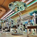 맹그로브 짐 이미지