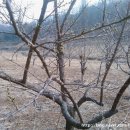 지재농장 이미지