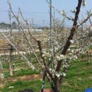 장금농장 이미지