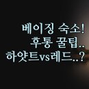 레드호스텔 | 호텔 추천 | 자금성 근처부터 후통까지 | 레드 호텔 페킹 호스텔 하얏트 비교 분석 | 내돈내산 숙소 꿀팁
