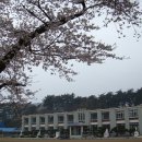 아산초등학교 이미지