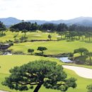 그린샷 골프클럽 이미지