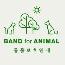 BFA동물보호연대 소개 이미지