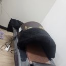 살빼 몸빼 빼빼 이미지