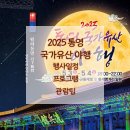 2025 통영문화재 야행 이미지