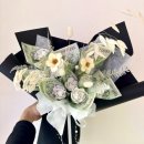 사파동100 이미지