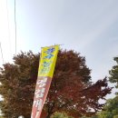 용수농원