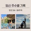 초밥24신대방 | 임신 주수별 기록 24~26주 차 / 다낭 태교여행 / 24, 25, 26주 배크기 / 셀프만삭사진