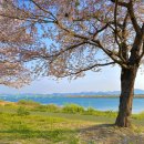 낙동강체육공원 1주차장 화장실 이미지