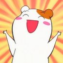 머리향기 | 느좋머리 레전드 하이레이어드컷은 “ 향기별헤어“에서 (추천추천)+ 람스후기