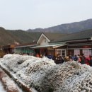 분천산타마을 이미지