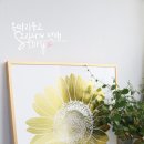 우리씽크,인테리어 이미지