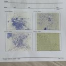 가파보건진료소 | [오산 동물병원] 위더스동물의료센터 강아지 건강검진 솔직 후기