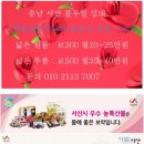당진민속떡집 이미지