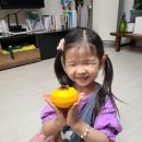 수안이네 이미지