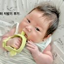 도라에몽PC | 우리 아기 첫 모윰스타터치발기 사용 후기 (귀여운 동물 모양 모윰양치발기)