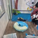 도곡원네스 스파,리조트 | 광주근교 실내 워터파크 화순 썬웨이 워터파크 도곡원네스스파리조트