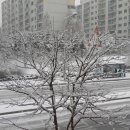 거북이카센터 이미지