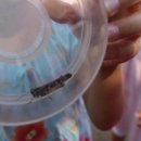 한결농장 이미지