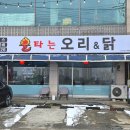 불타는 오리&닭 이미지