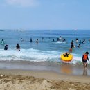 양양 낙산 해변 & 해변으로 가요 / 키보이스 & video : 체칠리아 이미지