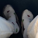 가덕 코이 이미지