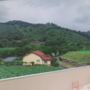 스테이담장 이미지