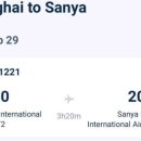 칵투스 아일랜드 이미지