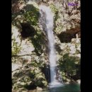 영일운수 이미지