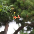 마산면사무소 이미지