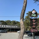 초당할머니순두부 | 강릉 순두부 맛집 초당할머니순두부 후기, 유명하지만 평범했던 초당동 맛집