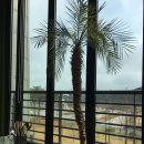 빛가람포도약국 이미지