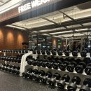 리얼 스트렝스 짐 이미지