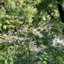 어비계곡 하얀집 이미지