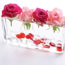 깨구리반찬 이미지