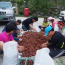 송재농장 이미지