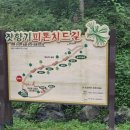 솔그린 이미지