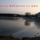 길정낚시터 네이버블로그