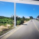 정동진 공인중개사사무소 이미지