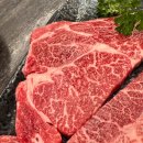 문화갈비식당 | 강릉 돼지갈비 한우 맛집 초당우가 애견동반 식당 세인트존스호텔 근처 맛집 후기