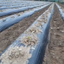 소연농장 이미지