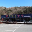 약이되는밥상 | 라비에벨cc 맛집, 카스카디아cc 맛집 약이되는밥상에서 든든한 한끼