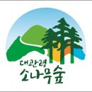 182회 정기산행 대관령옛길 금강 소나무숲길 이미지