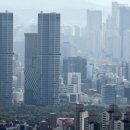 N부동산공인중개사사무소 이미지