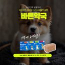 해운대동물약국 이미지