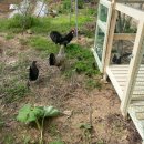 우리펜션민박 이미지