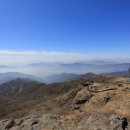 여자중계소 이미지