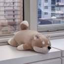 엔터치과의원 이미지