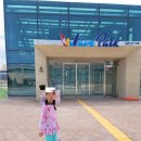도심 속 휴양지에서 즐기는 완벽한 여름 물놀이 시흥 [웨이브파크] 방문 후기